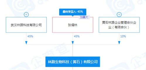 康桥悦生活《儒林外史》IP改发透视 儒式IP的穿越之道